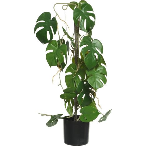 PIANTA MONSTERA ARTIFICIALE CON VASO 31X20X63,5H CM (1/2)