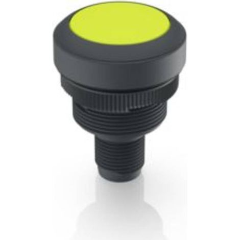 RAFI 1.10.011.001/0441 RAMO 22 T Pulsante 35 V/DC 0.1 A Momentaneo (L x L x A) 40 x 29.8 x 29.8 mm 1 pz.