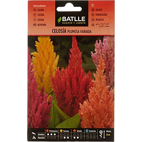 Semillas Batlle Celosia Piuma variegata (1/2)