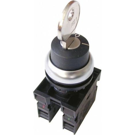 EATON Selettore a chiave RMQ-Titan, ad arresto, IP66, 216517 (1/5)