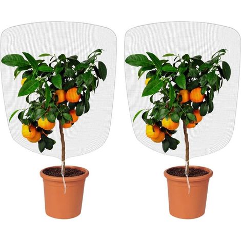 4PCS Rete anti-insetti, Rete anti-insetti da giardino con coulisse Maglia fine per proteggere le piante in vaso per la protezione degli alberi da frutto (0,7 1 m) (1/5)