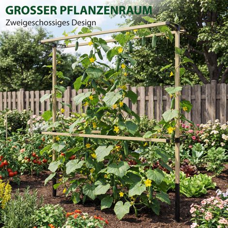 Treillis extensible flexible pour petits fruits : framboises, mûres, myrtilles – filet de soutien métallique pour culture (1/4)
