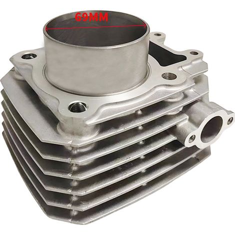 Pièces de kit cylindre moteur moto adaptées aux cylindres BAYOU250, alésage du piston 69 mm, 250 cm3. (1/4)