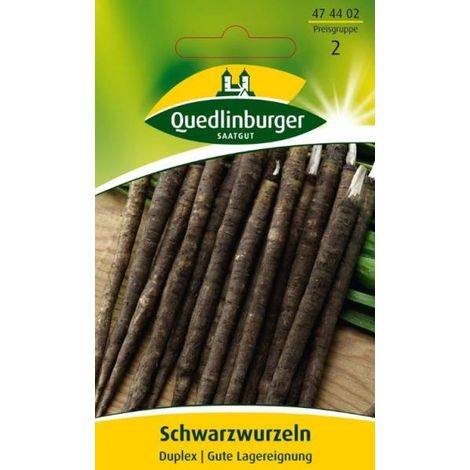 Quedlinburger Schwarzwurzeln Duplex - Gemüsesamen (1/2)