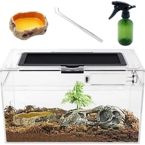 Stück Terrarium 30x18x15cm Transparentes Reptilienbecken mit Belüftung für die Zucht von Arthropoden (1/5)