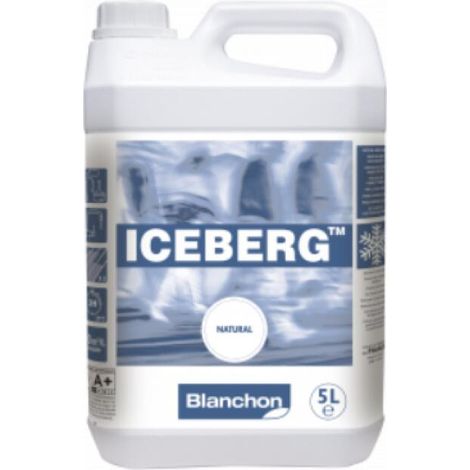 Blanchon Vitrificateur Parquet Iceberg Natural Ultra Mat 5L – Effet bois brut pour bois clairs – Mono ou bicomposant