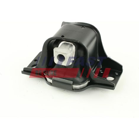 FT52593 olio per supporti motore PR rapido