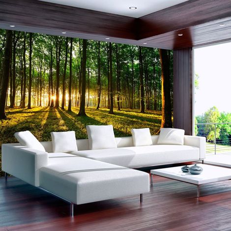 Papier Peint "Spring : Morning in the Forest" 245 x 350 cm (1/2)