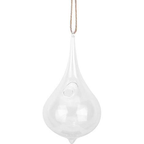Terrarium suspendu en corde en forme de larme pour plantes aériennes et succulentes (8 cm x 16 cm) (1/5)