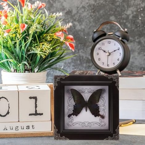 Décoration vintage encadrée de spécimen de papillon avec artisanat réaliste, élégante décoration de bureau pour la maison et le bureau, décoration d'anniversaire et de bureau (1/5)