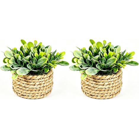 Lot de 2 Mini Plantes Artificielles Eucalyptus Tissé, Décoration Bureau Réaliste, Faux Vert En Pot Pour Étagère Et Maison (1/5)