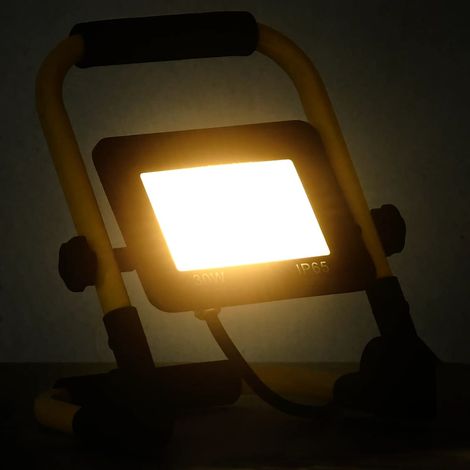 Projecteur à LED avec poignée 30 W Blanc chaud (1/5)