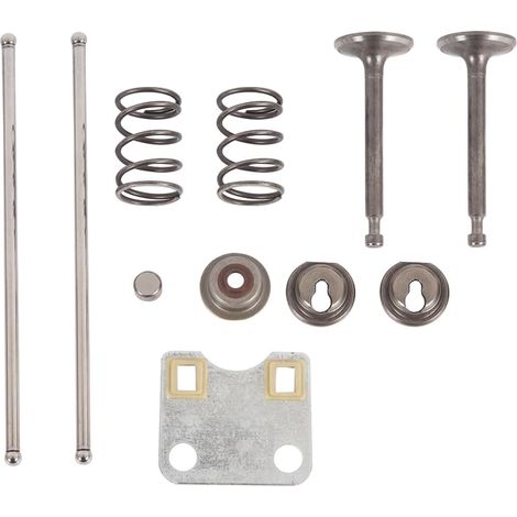 Kit de Joints et Ressorts de soupape d'admission et d'échappement pour Moteur de Tondeuse à Gazon GX160 GX200 168F 5,5 CV 6,5 CV - Remplace la pièce n° 14791-ZE1-010 (1/5)