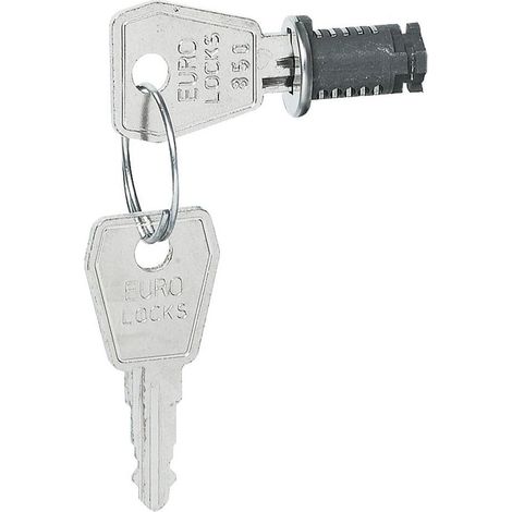 Cerradura con llave n.° 850 para cajas plexo³ LEGRAND 001966