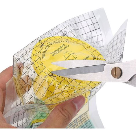 Piège à Mouches Extérieur Jetable Non Toxique - 1 Pièce pour Capturer les Mouches (1/4)