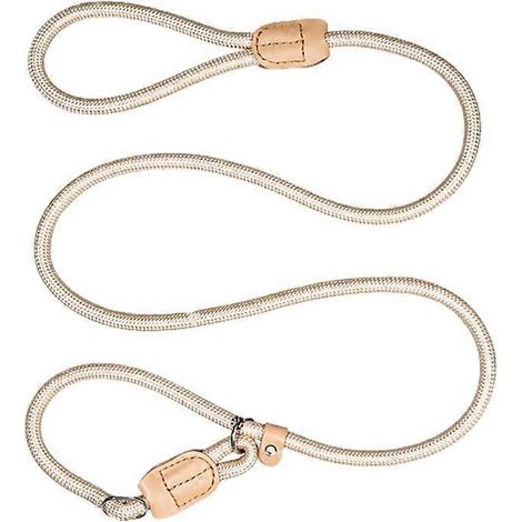Hundeleine zum Spazierengehen, Outdoor-Trainingsleine für mittelgroße und große Haustiere, Halsband inklusive, robust und komfortabel.