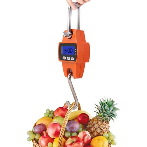 Balance de Pesée électronique Numérique LCD Portable(0.5-300kg) (1/5)