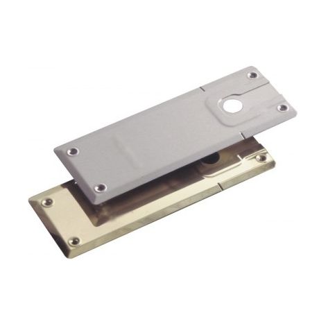 Plaque de recouvrement pour pivot de sol 8610 et 9210 TH Thermo + (1/2)