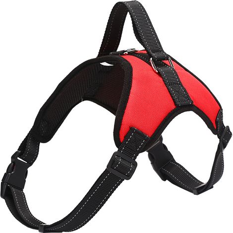 GARRYFIZH Harnais Réfléchissant Explosion-Proof pour Chien – Sécurité Extrême pour Toutes Tailles (Petit, Moyen, Grand) Promenade Nocturne (Rouge) (1/5)