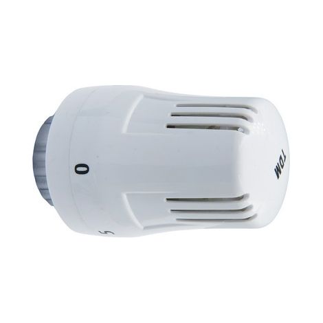 TESTA TERMOSTATICA CON SENSORE A LIQUIDO Misura: M30 x 1,5
