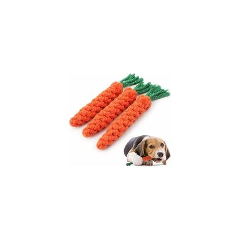 Lot de 3 jouets à mâcher en corde tressée pour petit chien – (1/5)