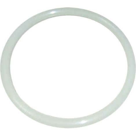 Joint couvercle filtre à sable – Diamètre extérieur 200mm – Diamètre intérieur 150mm – Pack de 2 unités – Compatible modèles AstralPool (1/2)