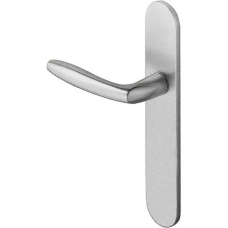 Vachette Orca Froschmaul Silber Aluminium Tür