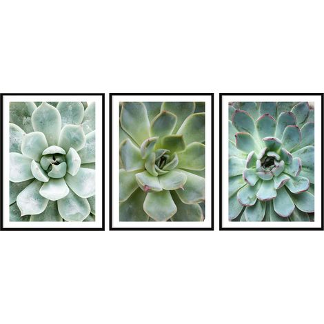 POSTER IMMAGINI IN CORNICE 53x73cm Trittico Set di 3 dipinti Foglie Fiori P2007 (1/3)