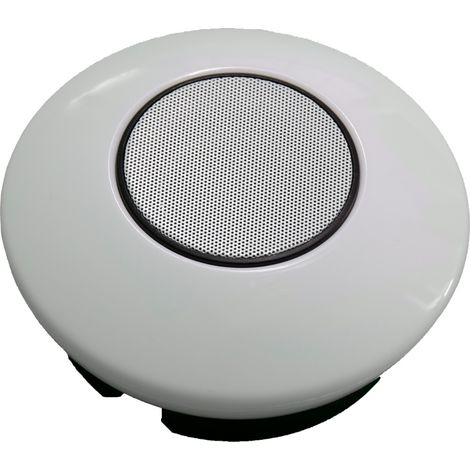 Lumière LED avec enceinte pour parasols déportés (1/5)