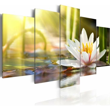 Tableau lotus ensoleillé - 100 x 50 cm (1/4)