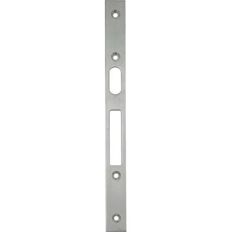 Flachschließbl.STA Verzinkt B.22xL.250mm SCHNEGEL (1/2)