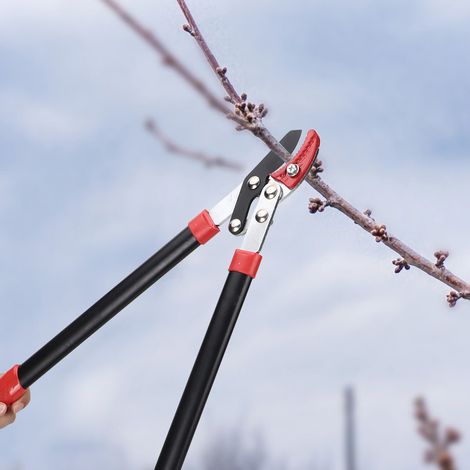 Gartenarbeit, Baumschnitt, Astschere, Gartenschere, Astschneider, Schneidewerkzeug (1/5)