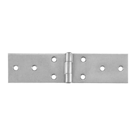 Cerniere strette lunghe Inox 100 x 32 mm. - 2 pz.