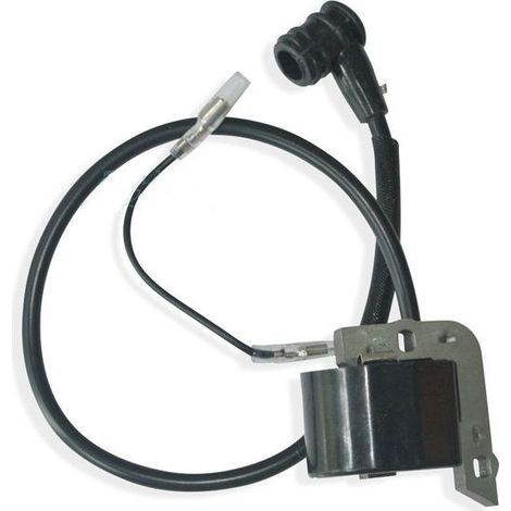 Hochspannungs-Zündspulenpaket für Sprühgerät 3WF-5 - (1/2)