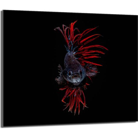 Placa protectora de vidrio para estufa 60x52 Pescado (1/5)