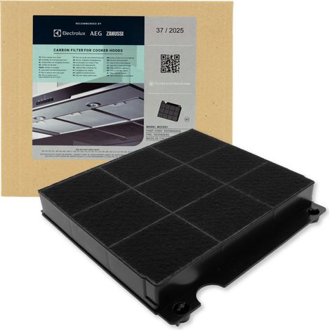 Filtro de carbón AEG Tipo 15 (1/5)