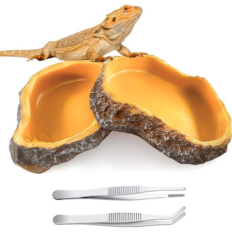 Lot de 2 Gamelles en Résine pour Lézard Tortue et Grenouille - Mangeoire et Abreuvoir pour Reptiles avec Pinces de Nourrissage (1/5)
