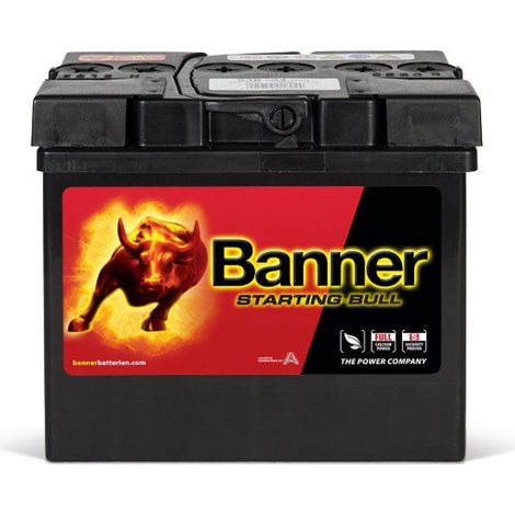 Batterie de démarrage 53034 12V 30Ah 300A – Plomb Calcium – Pour voitures et motos – Longueur 187mm, Hauteur 165mm – Banner