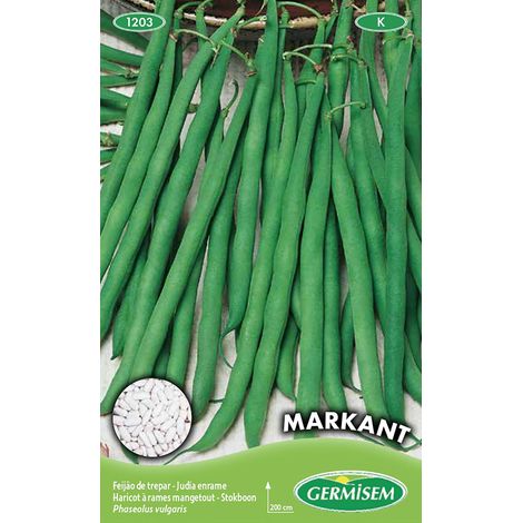Graines de Haricot à Rames 100 g EC1203 Multicolore