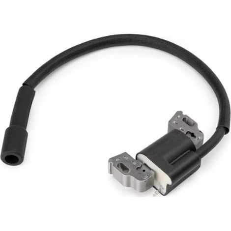 1 module magnétique d'ancrage de bobine d'allumage 594626 594456 pour moteur 592841 595038 594626 595304 799650 795315 (1/4)