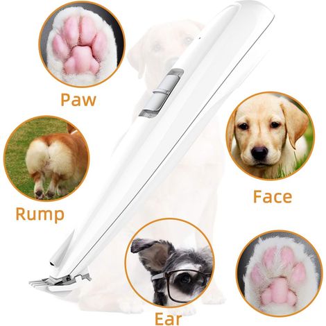 Tondeuse électrique pour animaux, tondeuse pour pattes de chien-AquaForge (1/5)