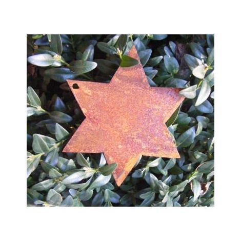 Étoile de Noël en Métal Effet Rouille Décoration à Suspendre ou sur Tige 10 x 10 cm - PANGIVO