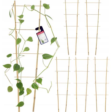 KADAX Bambusleiter, 5er Set, Stützleiter für Blumen, 60cm, doppelt (1/5)