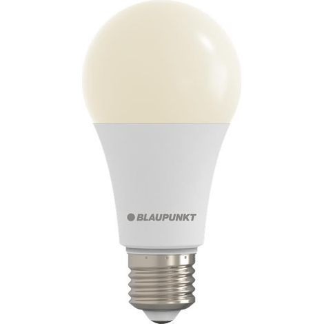 Ampoule LED E27 A65 18W 1980lm 2700K Blanc Chaud ES, Lot de 1 (1/5)