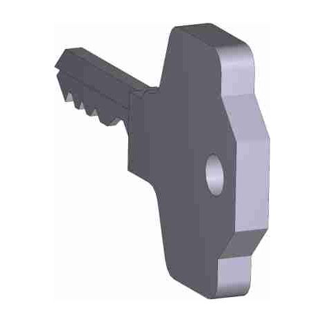 Paire de clés cryptées Gard 1002/3233 Remplacement CAME 88003-0069