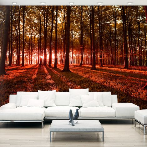 Fotomurale adesivo - Autumn Morning - 441x315 (1/4)