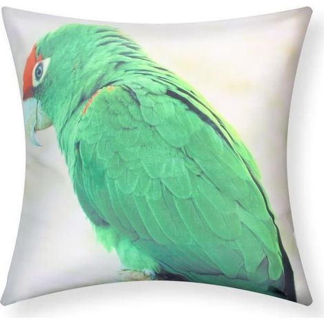 Housse de coussin - AVIZAR - Lot de 2 - 40x40 cm - Motif Ara - Vert (1/5)