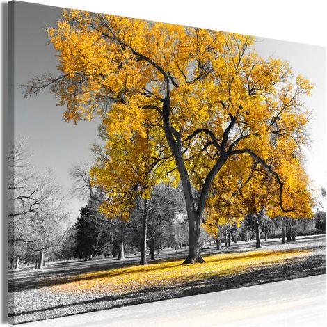 Tableau Imprimé "Autumn in the Park Wide Gold" 60 x 90 cm (1/2)
