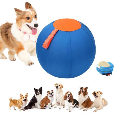 Balle géante pour chien - Jouet interactif gonflable Ø25 cm - Balle de berger résistante pour grands chiens - Jeu extérieur (1/5)