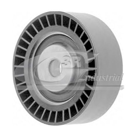 3RG 13103 RODILLO TENSOR